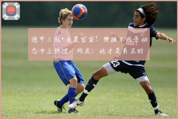 德甲三冠+凌晨官宣！樊振东两条动态冲上热搜，网友：这才是真正的“人生赢家”_比赛_萨尔布吕肯_生活