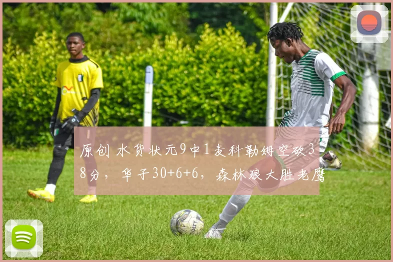 原创 水货状元9中1麦科勒姆空砍38分，华子30+6+6，森林狼大胜老鹰