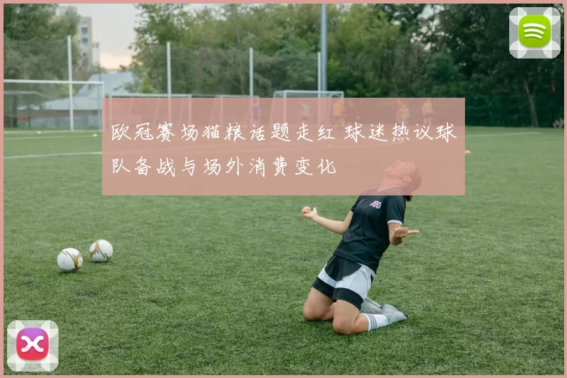 欧冠赛场猫粮话题走红 球迷热议球队备战与场外消费变化