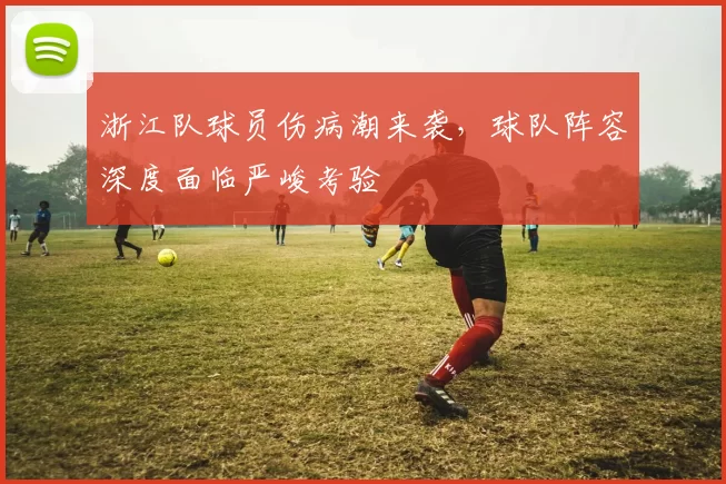 浙江队球员伤病潮来袭，球队阵容深度面临严峻考验