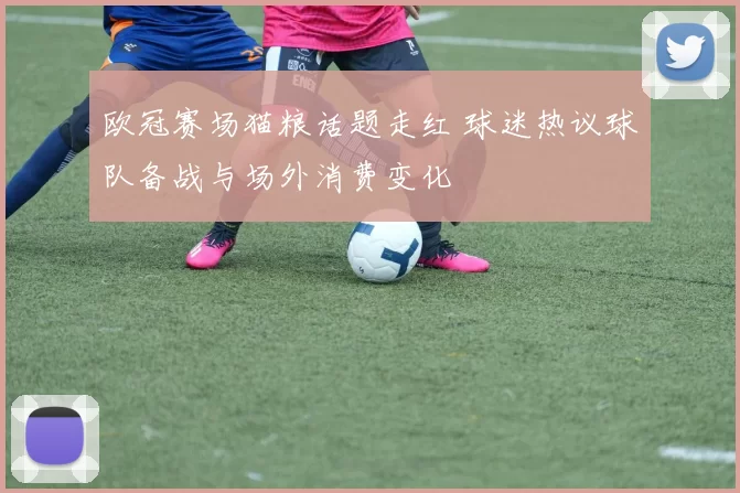 欧冠赛场猫粮话题走红 球迷热议球队备战与场外消费变化