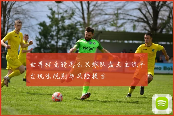 世界杯竞猜怎么买球队盘点主流平台玩法规则与风险提示